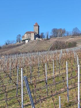 Foto - Großes erschlossenes Baugrundstück
