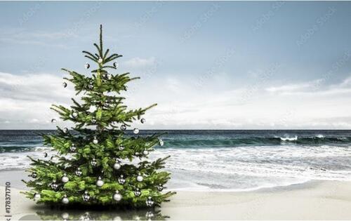 Foto - Weihnachten Ostsee Ferienhaus Ferienwohnung Grömitz