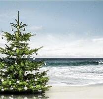 Weihnachten Ostsee Ferienhaus Ferienwohnung Grömitz - Lensahn