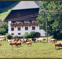 Ferienwohnung Kandelblick - 95,00&nbsp;EUR Kaltmiete, in St. Peter (PLZ: 79271)