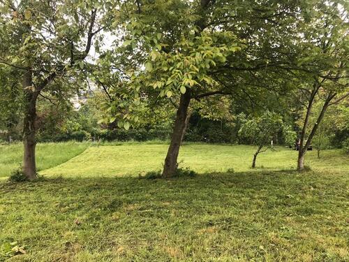 Foto - Landwirtschaftliche Fläche am Tüllinger zu verpachten.