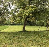 Landwirtschaftliche Fläche am Tüllinger zu verpachten. - Lörrach