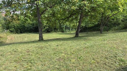 Foto - Grundstück zur Miete in Lörrach