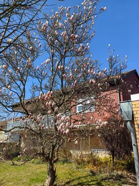 Foto - Individuelles Einfamilienhaus in Traumlage
