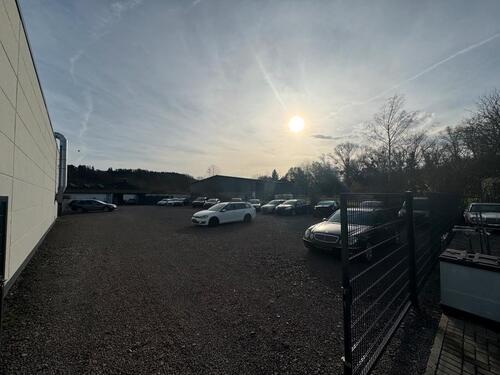 Foto - andere in Konz zur Miete