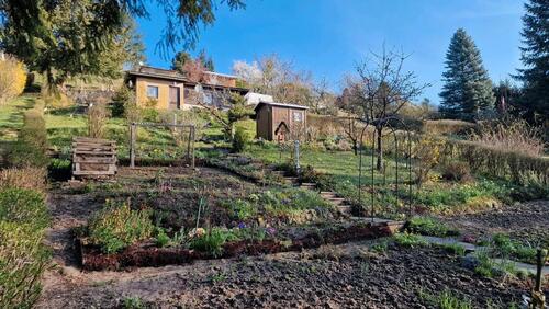 Foto - Garten in Königsee Kleingarten Pacht