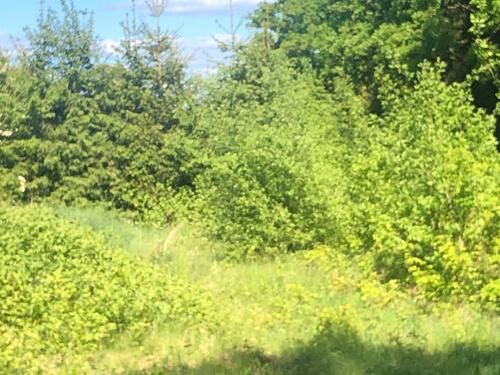 Foto - Tiny House Stellplatz - 400,00 EUR Kaltmiete, ca.  0,00 m²