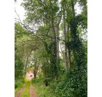 Verkaufe Stall Bauernhof mit - 85.000,00&nbsp;EUR Kaufpreis, ca.&nbsp; 280,00&nbsp;m&sup2; in Stauchitz (PLZ: 01594)