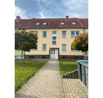 Möbliertes 1-Raum-Appartment in Dessau-Ziebik Siedlung - Illerkirchberg