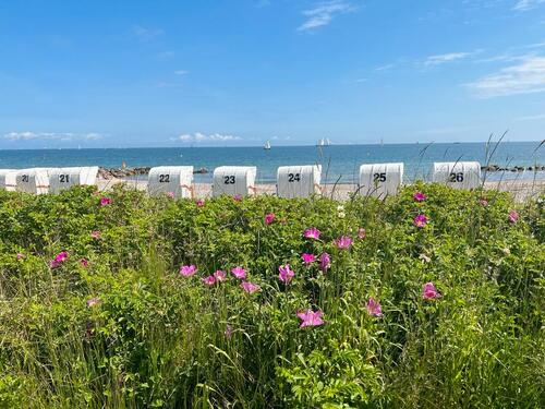 Foto - andere in Dörphof