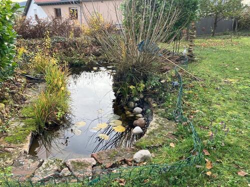 Foto - 10 Zimmer Einfamilienhaus zur Miete in Hammelburg