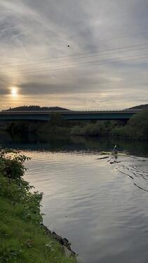Foto - Grundst&uuml;ck in Hagen