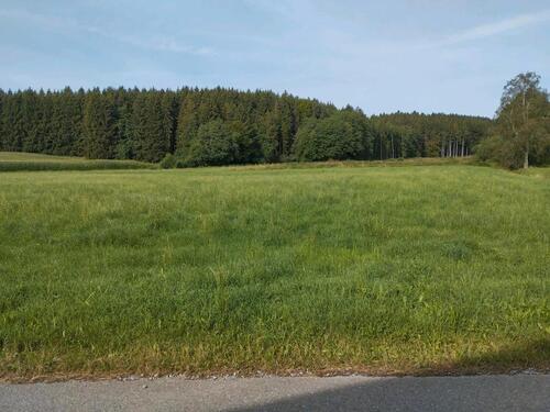Foto - Wiese, Silo, Heu stehend, zur Selbsternte