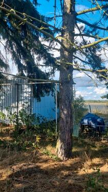 Foto - Grundstück zur Miete in Belgern-Schildau