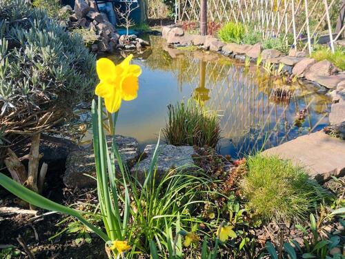 Foto - Grundst&uuml;ck in Radebeul zur Miete