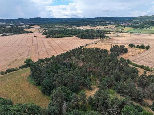 Foto - andere in Blankenburg (Harz) zum Kaufen