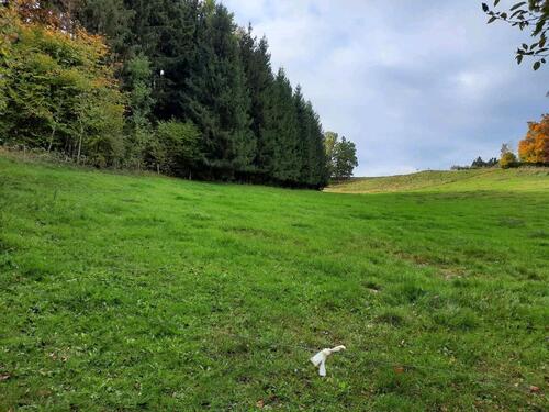 Foto - Einfamilienhaus in Fuchstal