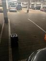 Foto - andere in München