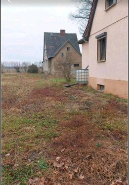 Foto - Einfamilienhaus in Güsten zum Kaufen