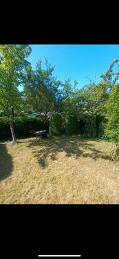 Foto - Grundst&uuml;ck zur Miete in Bischofswerda