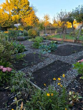 Foto - Grundst&uuml;ck in Guben zur Miete