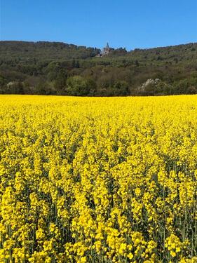 Foto - Ruhiges Zimmer an Wochenendheimfahrer