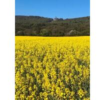 Ruhiges Zimmer an Wochenendheimfahrer - Kassel Kirchditmold