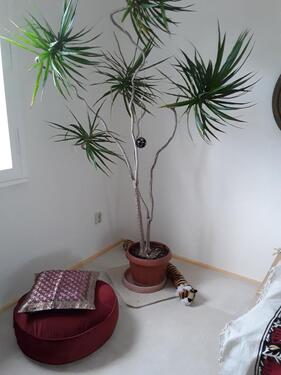 Foto - 23 Zimmer Etagenwohnung in Berlin