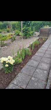 Foto - Grundst&uuml;ck zur Miete in Chemnitz