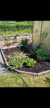 Foto - Grundst&uuml;ck in Chemnitz