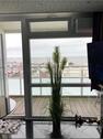 Foto - 2 Zimmer Etagenwohnung zum Kaufen in Norderney