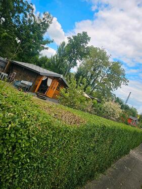 Foto - Grundstück zur Miete in Gelsenkirchen