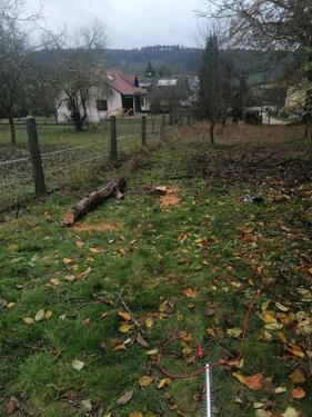 Foto - Einfamilienhaus in Berching