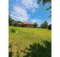 Paraguay Colonia Neufeld | Großes Wohnhaus | 1 ha Grundstück - Neuenstadt am Kocher