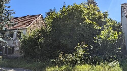 Foto - Grundstück ca. 470 qm, mit altem Bauernhaus