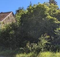 Grundstück ca. 470 qm, mit altem Bauernhaus - Eßweiler