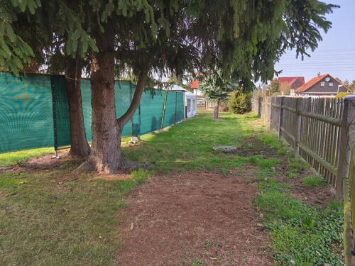 Foto - schönes Freizeit-und Gartengrundstück zur Pacht --> OHNE KGV