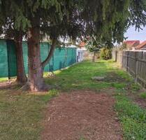 schönes Freizeit-und Gartengrundstück zur Pacht --> OHNE KGV - Leipzig West