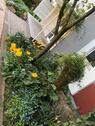 Foto - Mietwohnung - 1.215,00 EUR Kaltmiete,