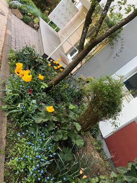 Foto - Mietwohnung - 1.215,00 EUR Kaltmiete,