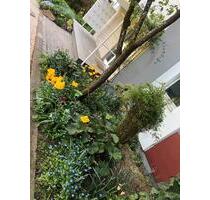 Mietwohnung - 1.215,00 EUR Kaltmiete, in Eppstein (PLZ: 65817)