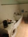 Foto - Etagenwohnung in Berlin