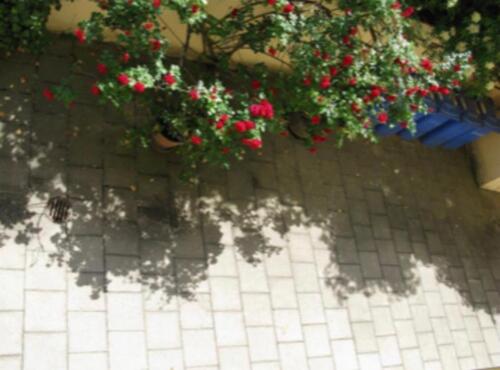 Foto - Etagenwohnung zum Kaufen in Nürnberg