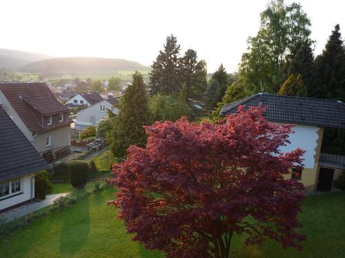 Foto - Schöne Helle 2 ZKB DG Wohnung in Nieste