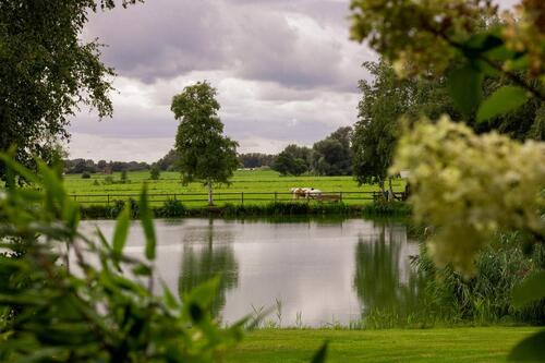 Foto - andere in Detern