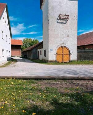 Foto - Erdgeschoßwohnung in Olching zur Miete