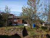Foto - Garten in Kleingartenanlage Reißig abzugeben