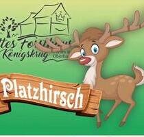 Ferienwohnung Harz Fewo Platzhirsch Braunlage Hund