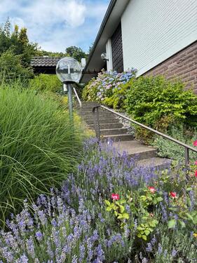 Foto - Einfamilienhaus zur Miete in Bad Pyrmont