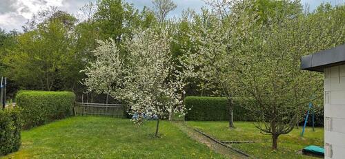 Foto - Grundst&uuml;ck zur Miete in Gotha